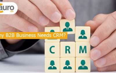 Why B2B Business Needs CRM?