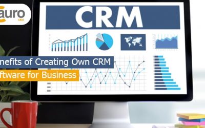 Benefits of Creating Own CRM Software for Business